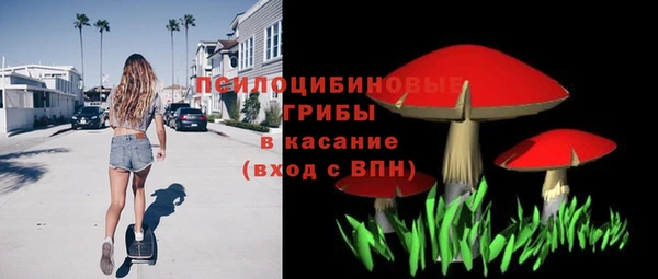 ГАЛЛЮЦИНОГЕННЫЕ ГРИБЫ Волоколамск