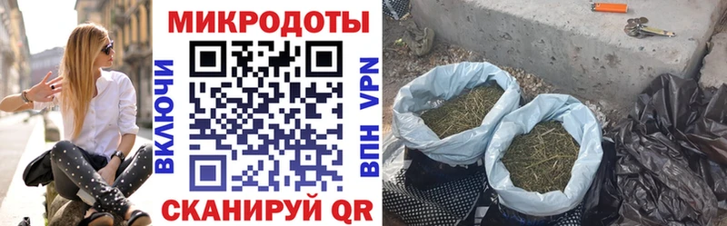 купить наркоту  Вичуга  Псилоцибиновые грибы MAGIC MUSHROOMS 