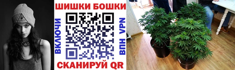 мориарти Telegram  даркнет сайт  Вичуга  Каннабис OG Kush 